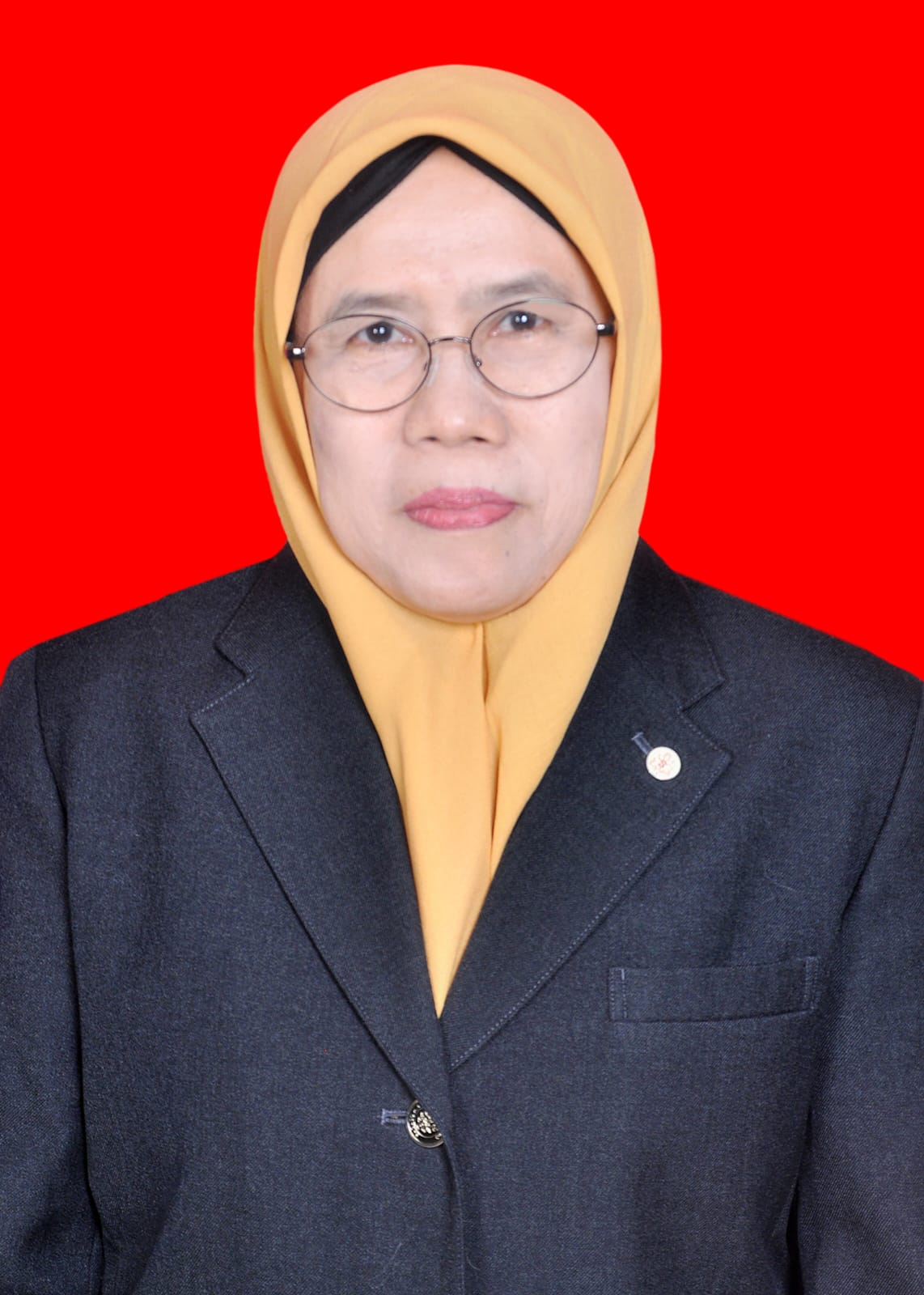Read more about the article Biografi Prof. Dr. Suryani, M.Ag. Dekan Fakultas Ushuluddin Adab dan Dakwah UIN fatmawati Sukarno Bengkulu